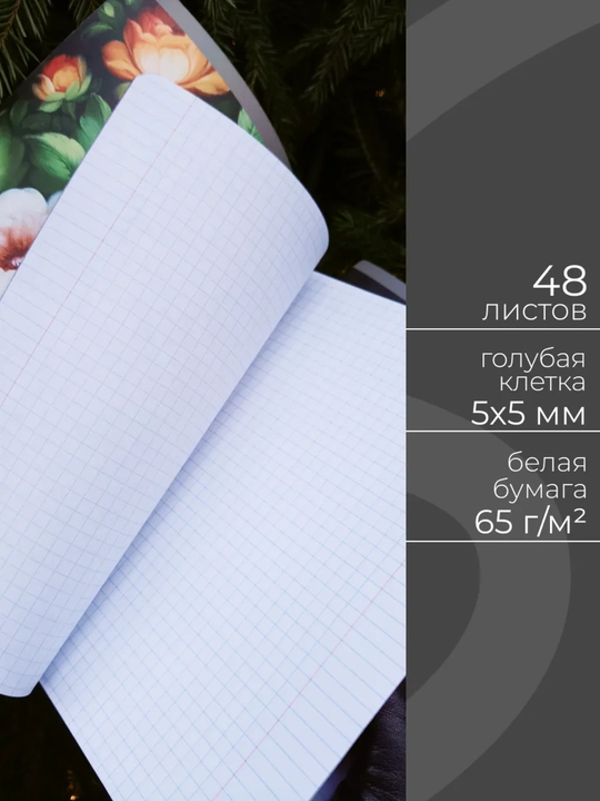 Daftarlar to‘plami A5, 48 varaq, 5 dona, katakli, maktab va talabalar uchun Rossiya