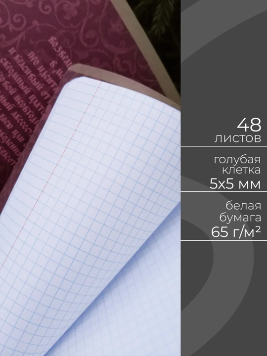 Daftarlar to‘plami A5, 48 varaq, 5 dona, katakli, maktab va talabalar uchun Rossiya