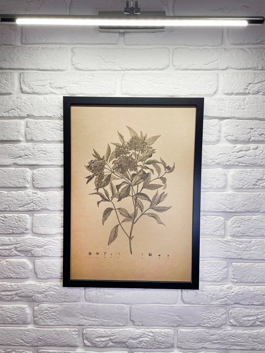 Interyer Surati, Retro Formatda, 40x55 Ekzotik O‘simlik