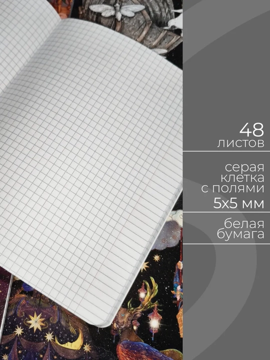 Daftarlar to‘plami A5, 48 varaq, 5 dona, katakli, maktab va talabalar uchun Rossiya