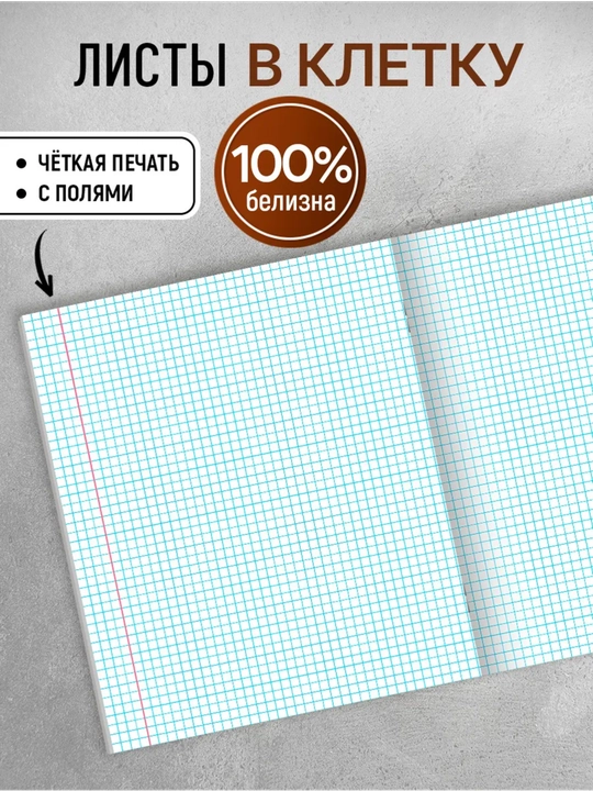 Daftarlar to‘plami A5, 48 varaq, 5 dona, katakli, maktab va talabalar uchun Rossiya