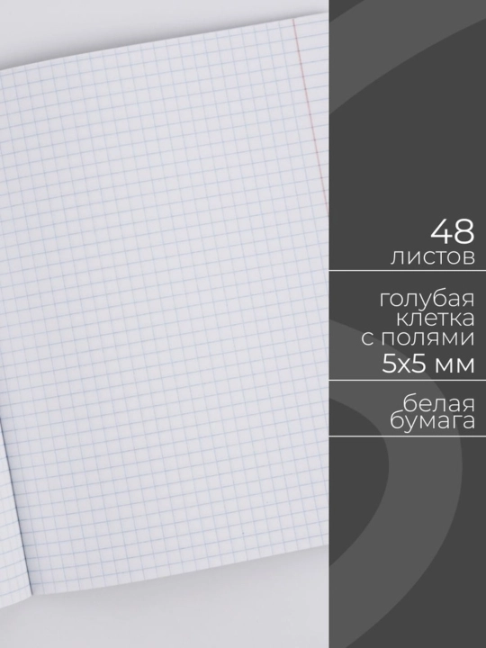 Qizlar uchun daftarlar to‘plami, A5, 48 varaq, 5 dona, katakchali