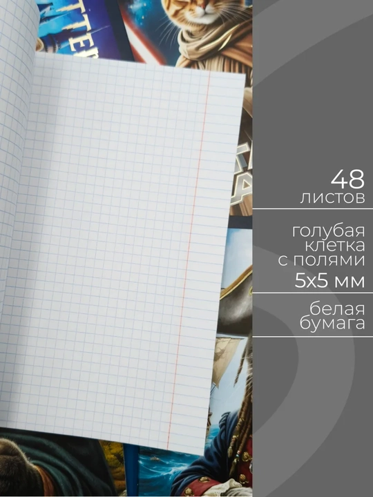 Daftarlar to‘plami A5, 48 varaq, 5 dona, katakli, maktab va talabalar uchun Rossiya