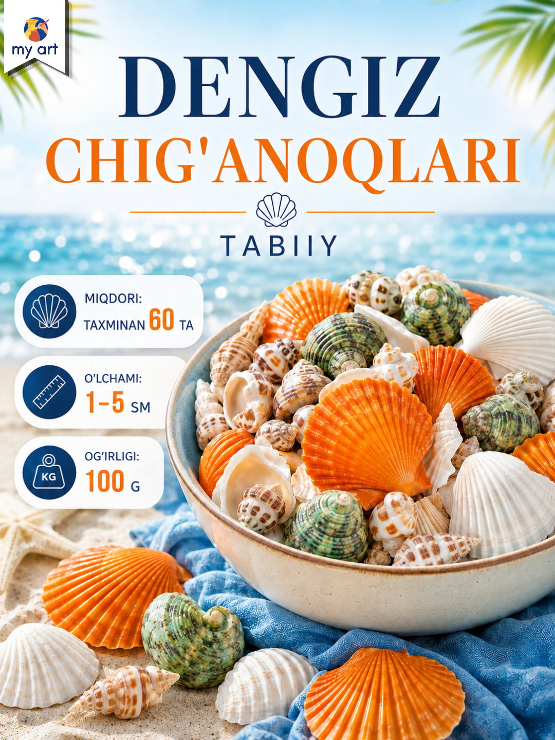 Tabbiy dengiz chig'anoqlari to'plami - ijodkorlik va dekor uchun