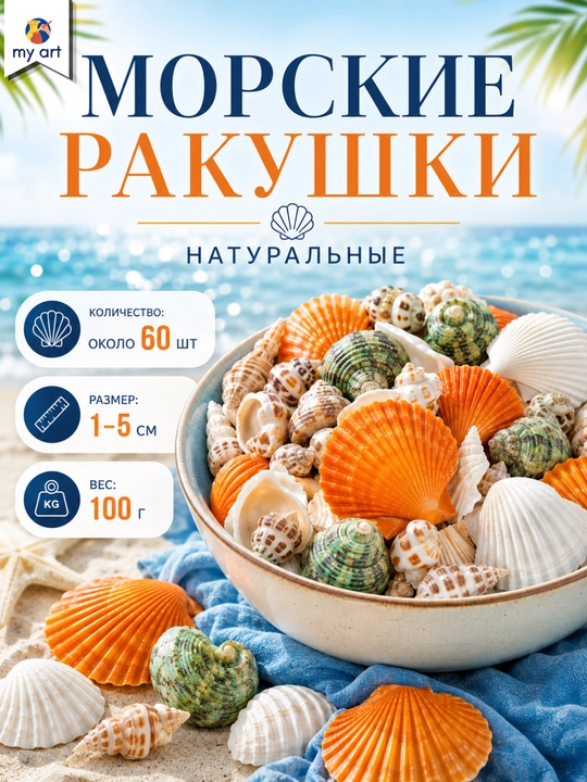 Морские ракушки, натуральные, набор ракушек для творчества и декора - 