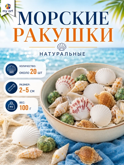 Tabbiy dengiz chig'anoqlari to'plami - ijodkorlik va dekor uchun