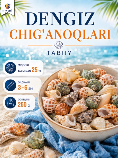 Tabbiy dengiz chig'anoqlari to'plami - ijodkorlik va dekor uchun