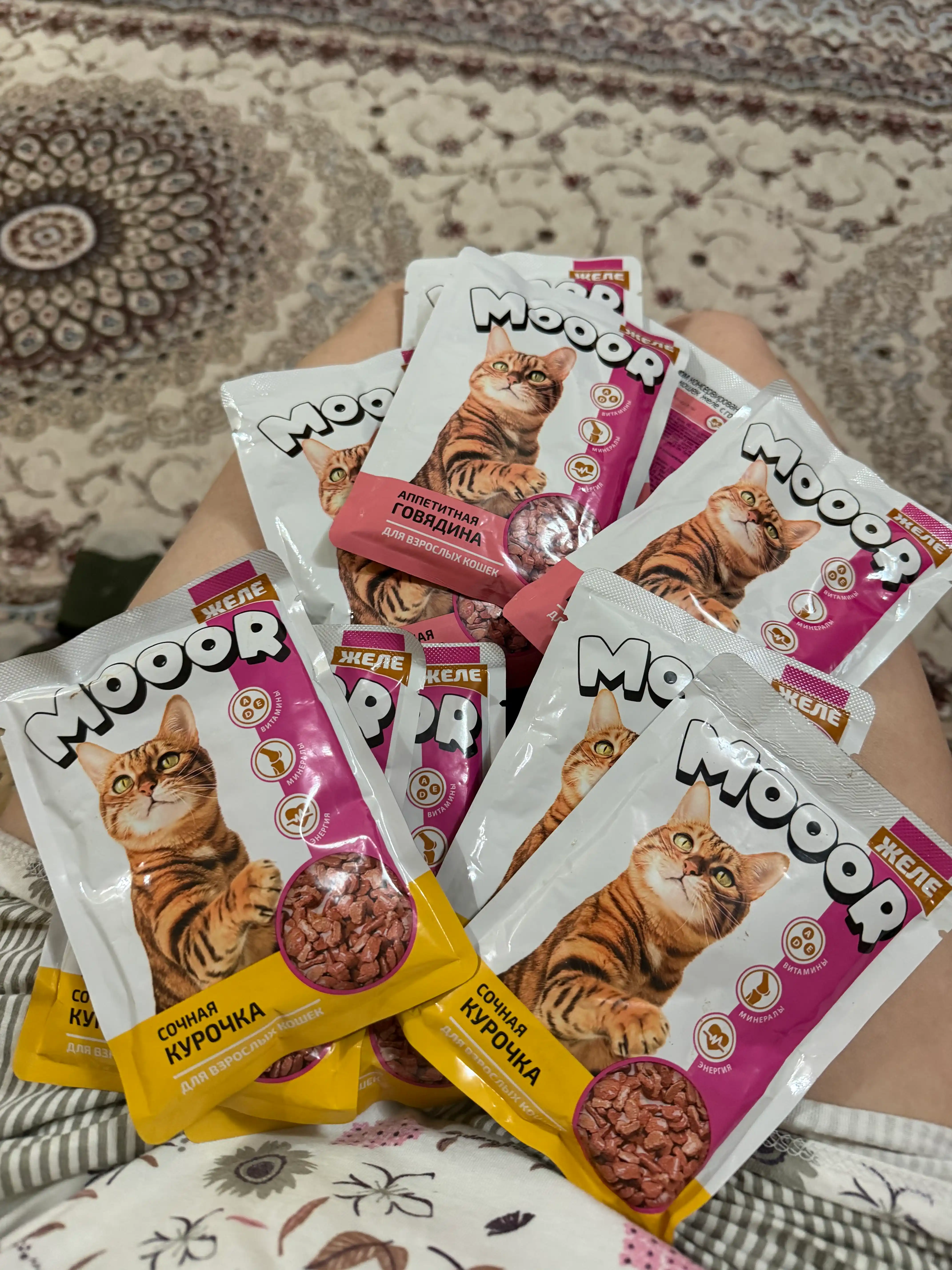 Mooor mushuklar uchun nam yem jeledagi mol go‘shti 75 gr 5 dona