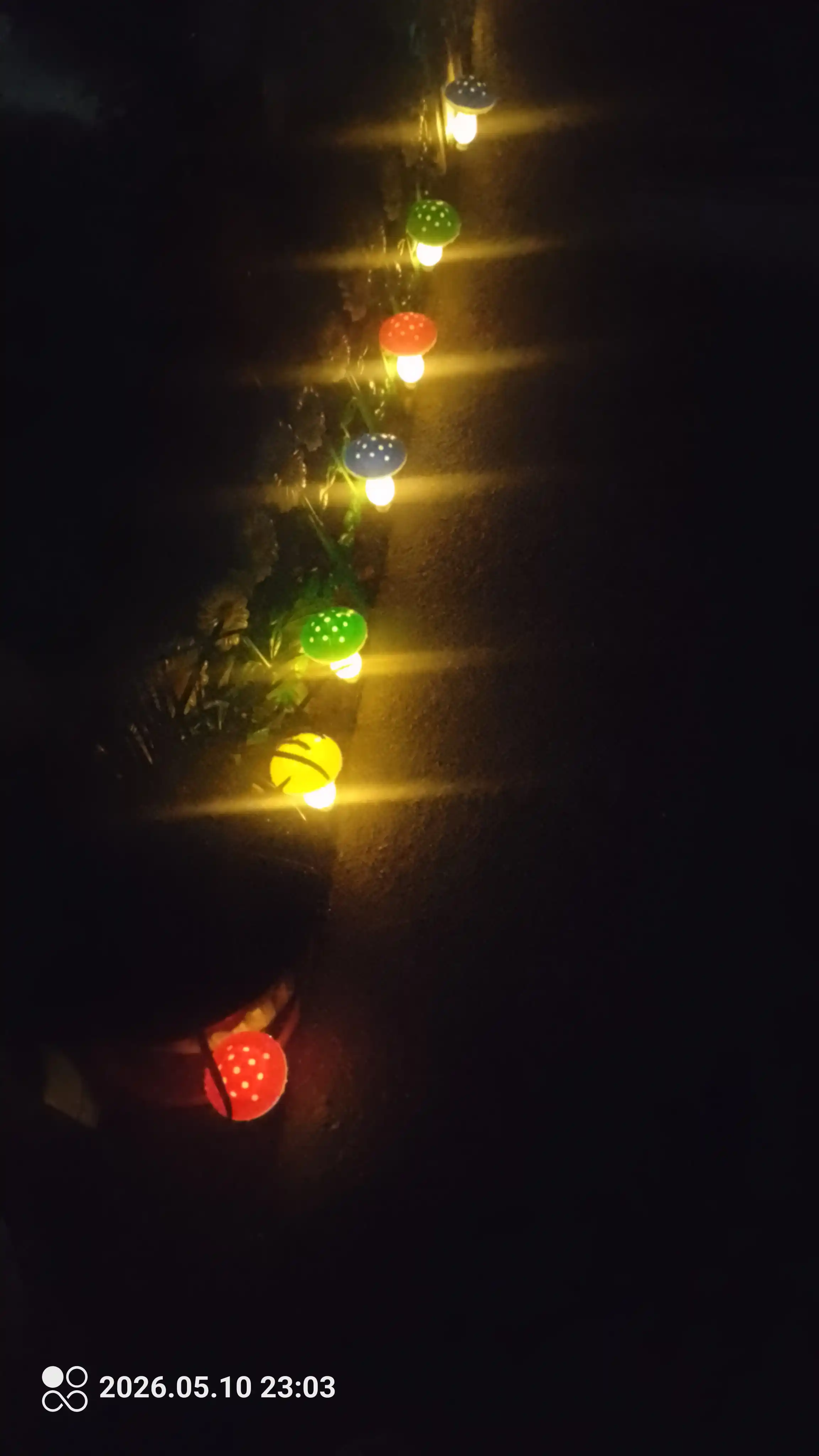 Bog' va dacha uchun quyosh energiyasida ishlaydigan chiroqlar, IP44 tashqi chiroq
