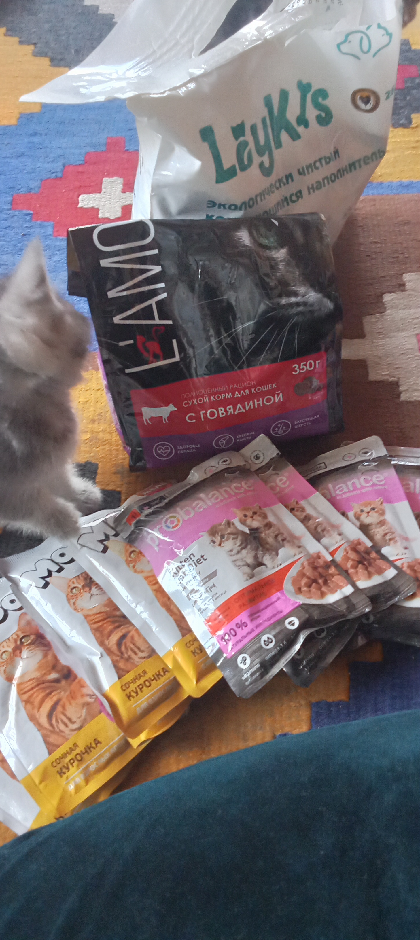 ProBalance mushukchalar uchun nam yem, buzoq go‘shti jeleda, 85 gr 5 dona