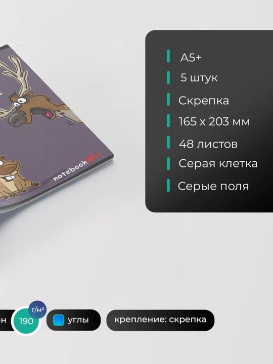 Daftarlar to‘plami A5, 48 varaq, 5 dona, katakli, maktab va talabalar uchun Rossiya