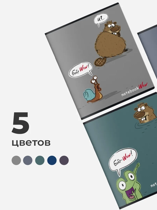 Daftarlar to‘plami A5, 48 varaq, 5 dona, katakli, maktab va talabalar uchun Rossiya