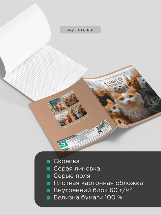 Daftarlar to‘plami A5, 48 varaq, 5 dona, katakli, maktab va talabalar uchun Rossiya