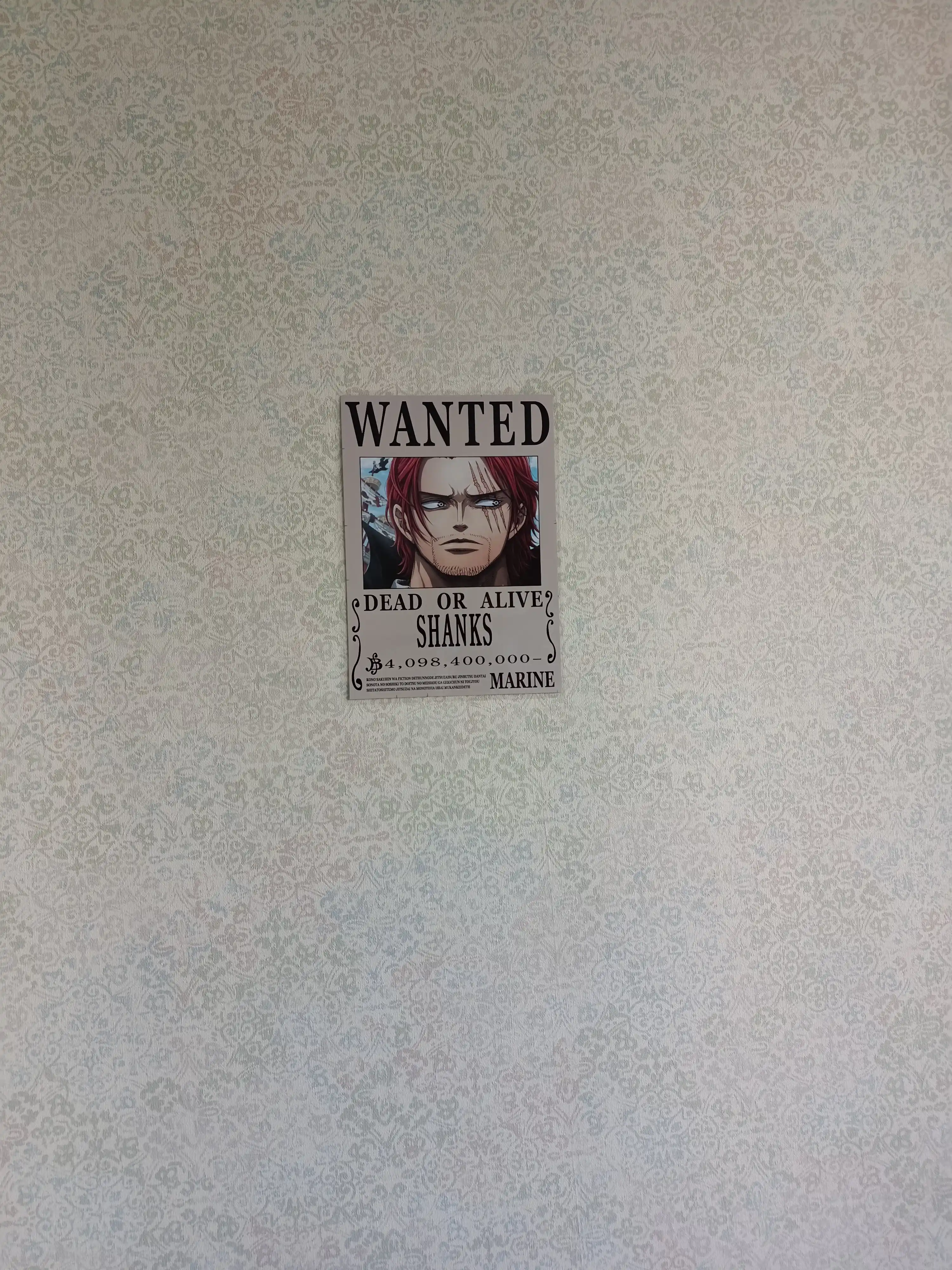 Yangi posterlar paydo bo’ldi! A4 formatli laminatsiyalangan plakatlar, One Piece Van Pis