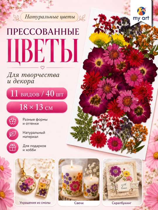 Прессованные сухоцветы, натуральные, для творчества - 