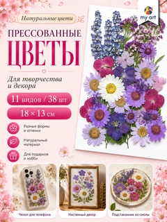 Lavanda