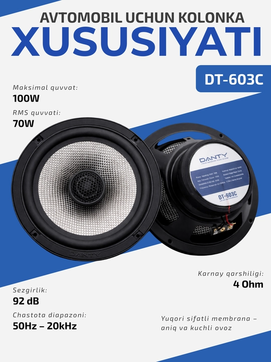 DANTY DT-603C avtomobil kalonkasi, 100W, yuqori sifatli avtomobil audio dinamik