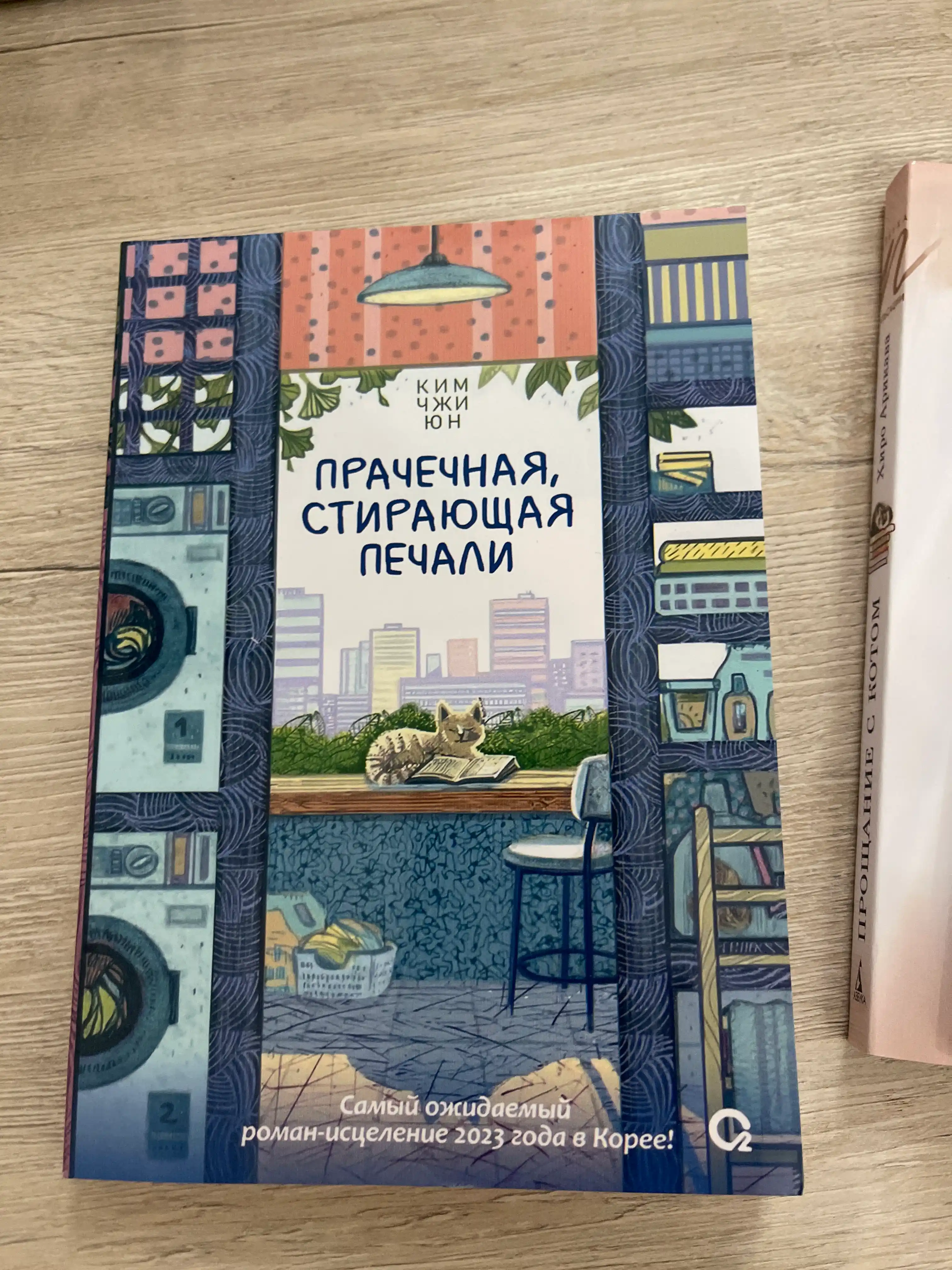 Prachechnaya, stirayushaya pechali – Kim Chji Yun
