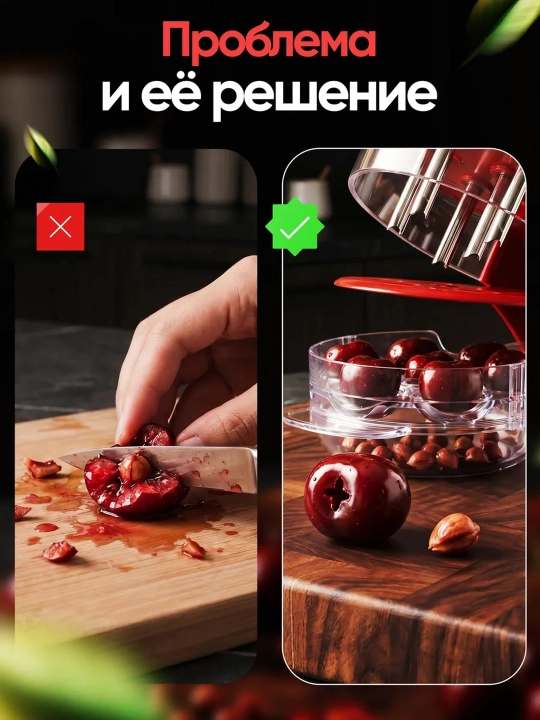 Gilos, olcha, zaytun va xurmo danaklarini ajratuvchi moslama (universal danak tozalagich)