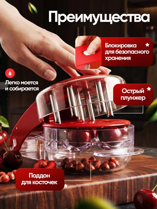 Gilos, olcha, zaytun va xurmo danaklarini ajratuvchi moslama (universal danak tozalagich)