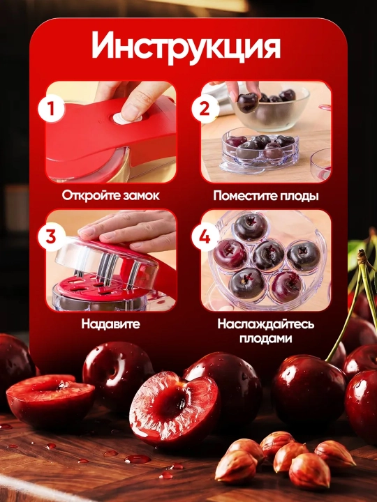 Gilos, olcha, zaytun va xurmo danaklarini ajratuvchi moslama (universal danak tozalagich)