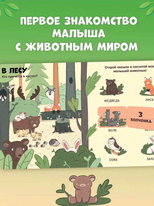 Транспорт, Береги планету, животные, книги с окошками, детские книги, подарок для детей
