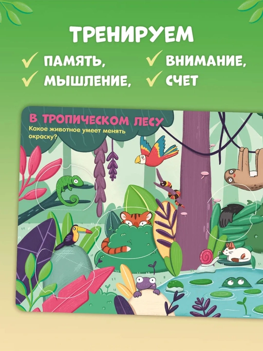 Транспорт, Береги планету, животные, книги с окошками, детские книги, подарок для детей