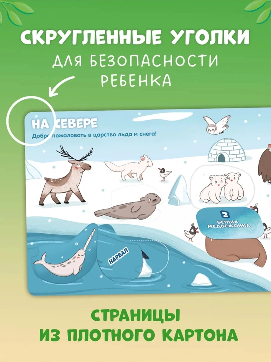 Транспорт, Береги планету, животные, книги с окошками, детские книги, подарок для детей