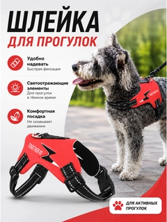 Алый