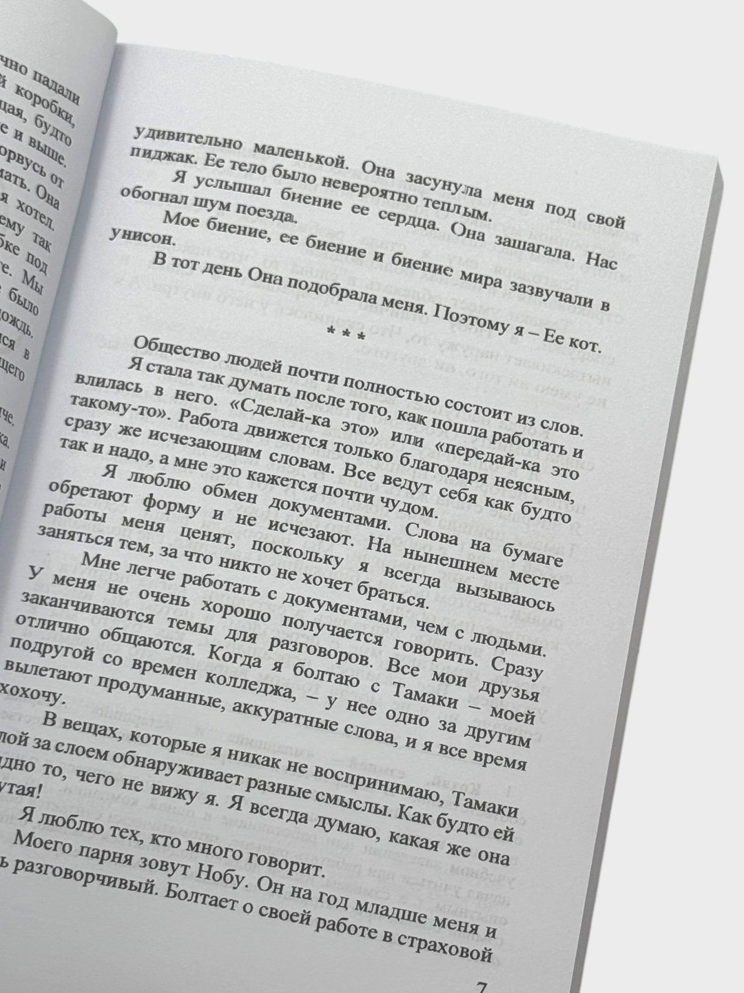 Он и его кот, Ресторан 06:06:06, Книжная кухня Ким Джи Хе Пом Ю Джин Макото Синкай