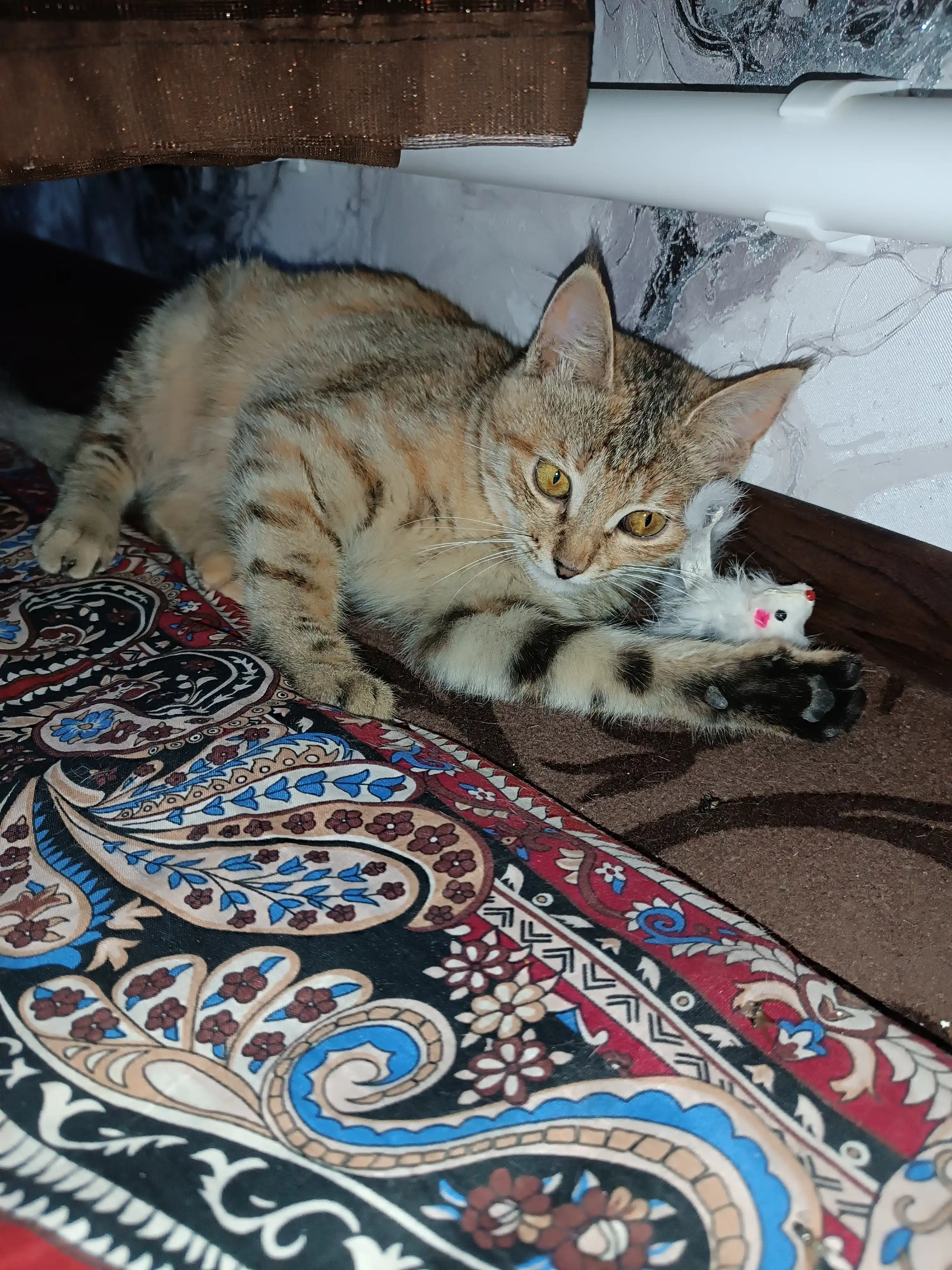 Игрушка для кошек - Мышка из натурального меха