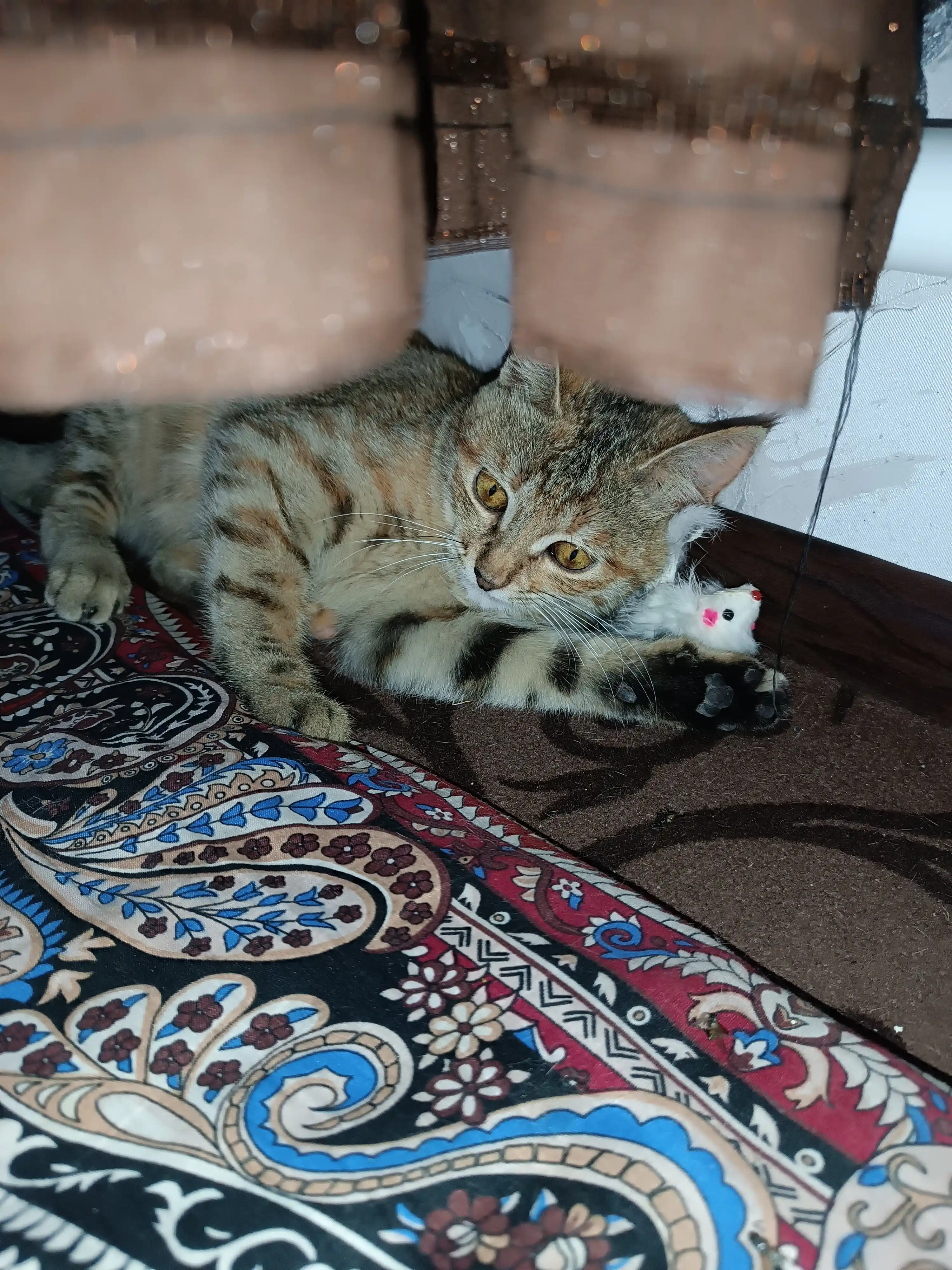Игрушка для кошек - Мышка из натурального меха