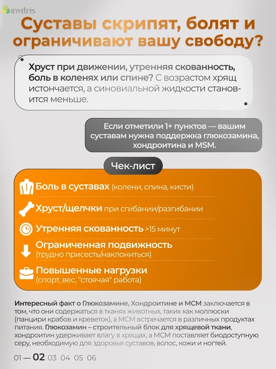 INVITRIS Глюкозамин Хондроитин MSM, таблетки 60 шт