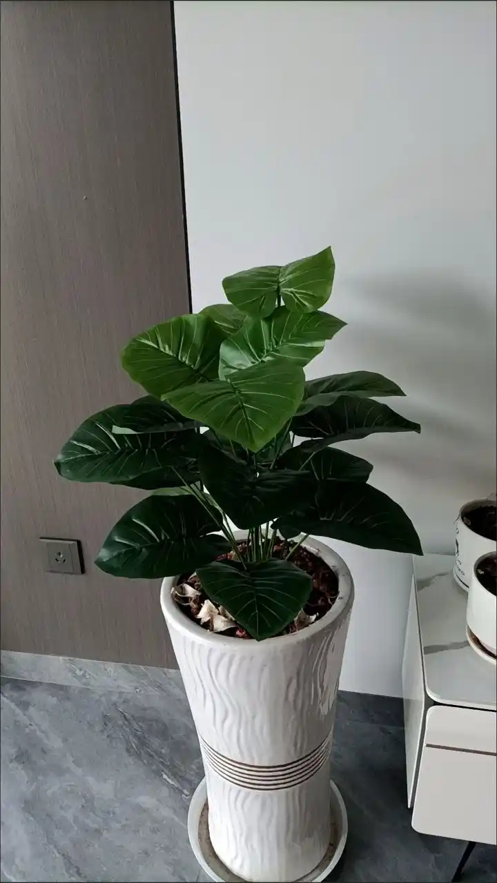 Uy,ofis,interyer uchun sunʼiy dekorativ,gullar,silikon bargli,sovgʻa, bezak va dekor uchun