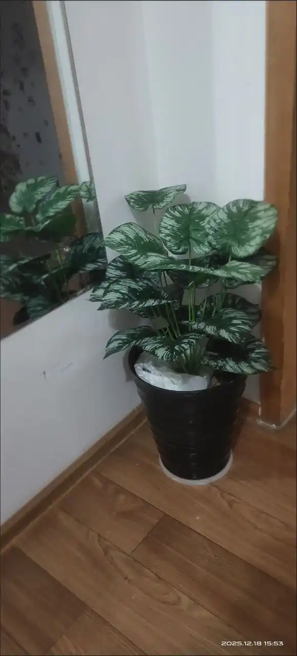 Uy,ofis,interyer uchun sunʼiy dekorativ,gullar,silikon bargli,sovgʻa, bezak va dekor uchun