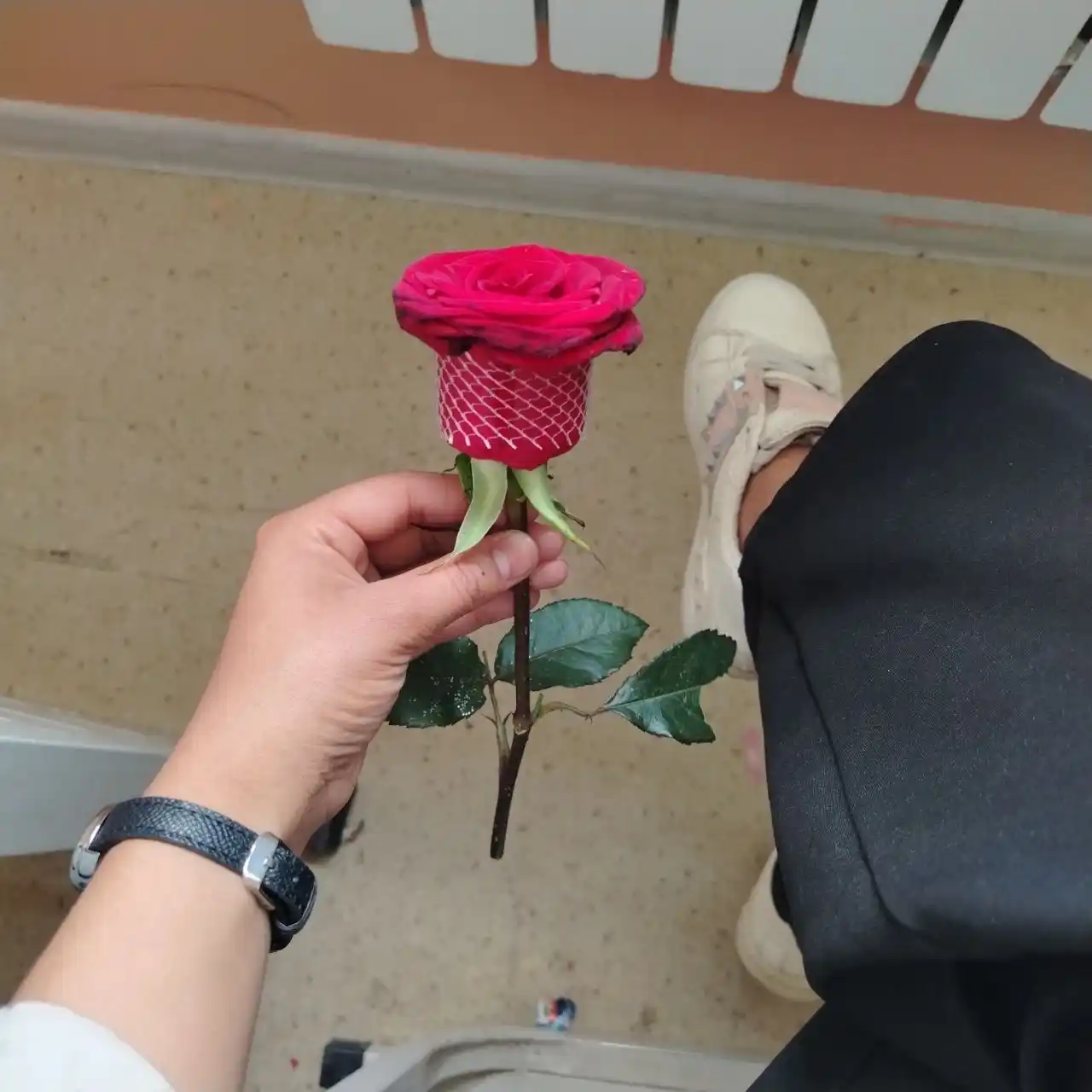 Ayollar qo‘l soati, kvars mexanizmli, sovg‘a o‘ramida