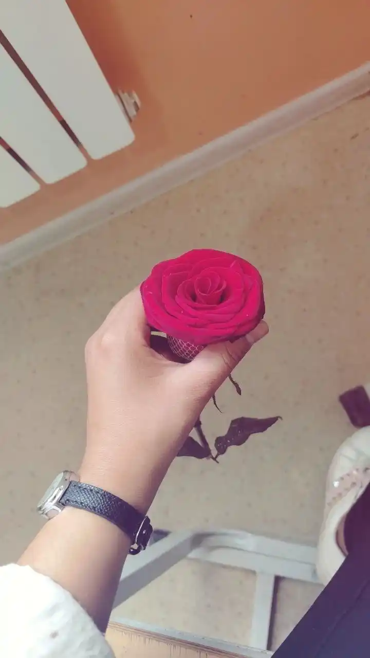 Ayollar qo‘l soati, kvars mexanizmli, sovg‘a o‘ramida