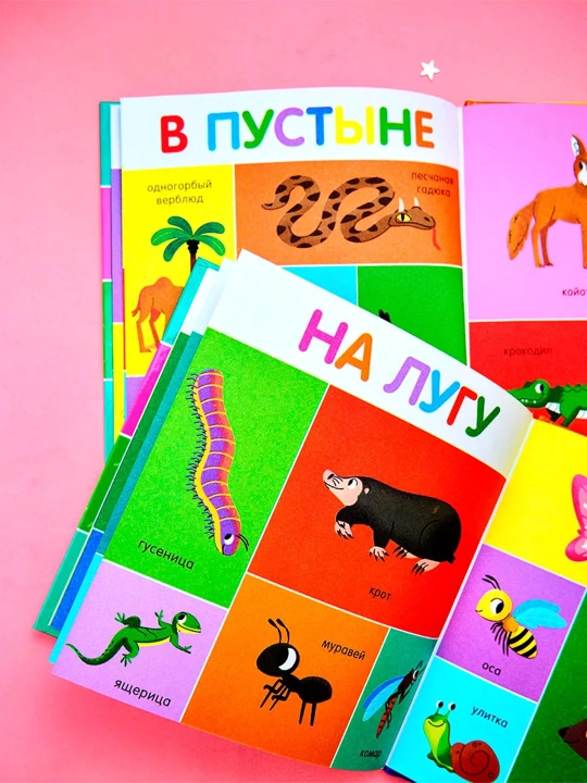 Top va ko‘rsat, bolajon — kichkintoylar uchun yorqin kitob-o‘yin