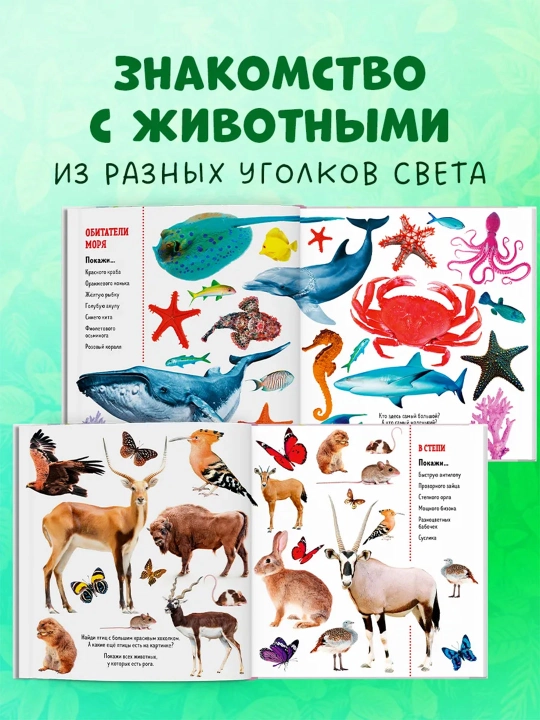 Top va ko‘rsat, bolajon — kichkintoylar uchun yorqin kitob-o‘yin