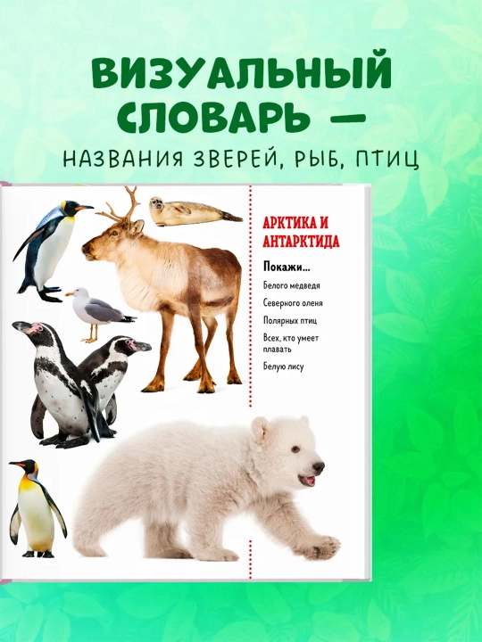 Top va ko‘rsat, bolajon — kichkintoylar uchun yorqin kitob-o‘yin