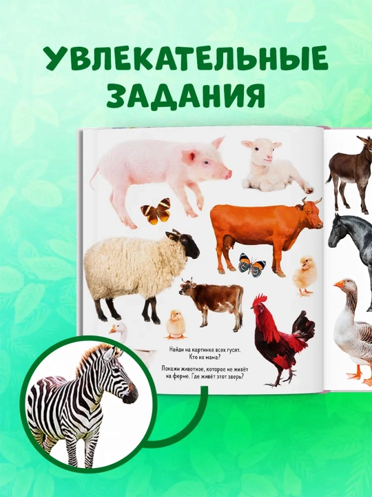 Top va ko‘rsat, bolajon — kichkintoylar uchun yorqin kitob-o‘yin