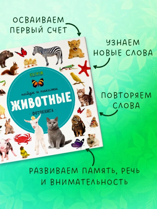 Top va ko‘rsat, bolajon — kichkintoylar uchun yorqin kitob-o‘yin