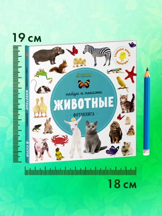 Top va ko‘rsat, bolajon — kichkintoylar uchun yorqin kitob-o‘yin