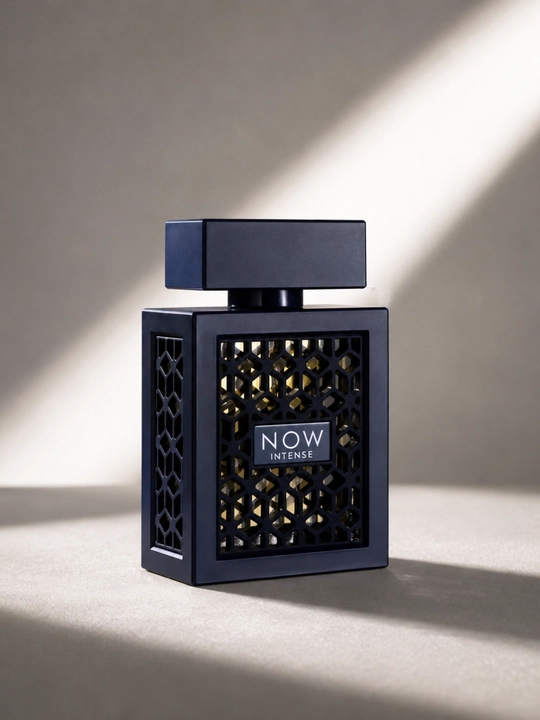 RAVE NOW Parfum для мужчин, премиальный стойкий парфюм, духи NOW, мужской аромат