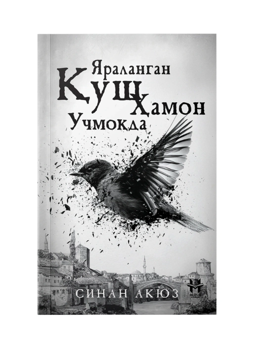 Yaralangan qush hamon uchmoqda, Sinan Akyuz - 