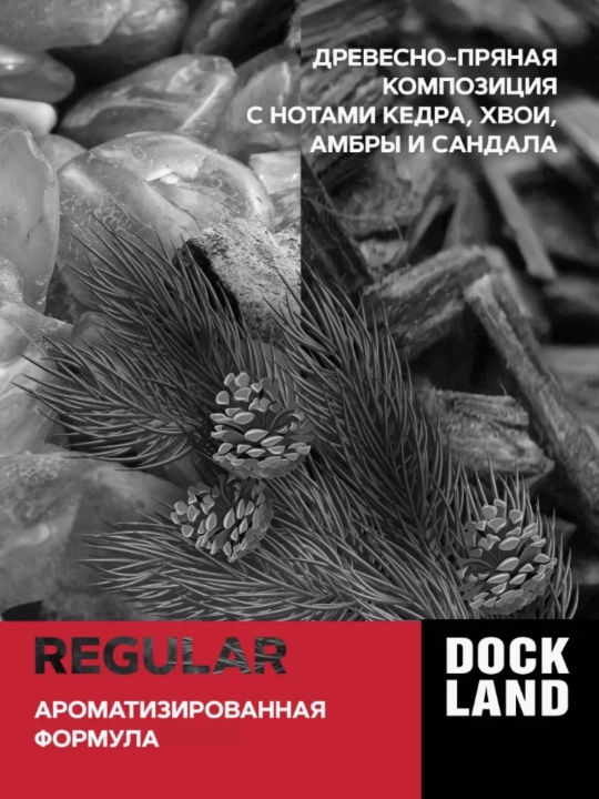 Erkaklar soqol olish ko‘pigi, Dockland Regular, 200 ml