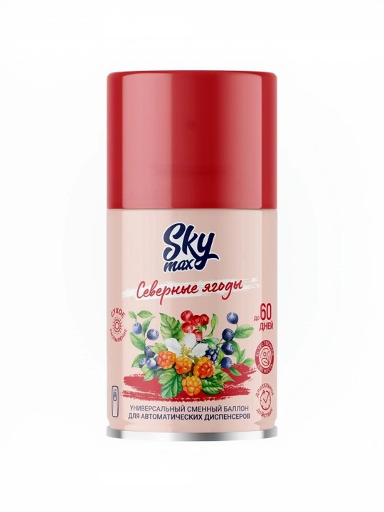 Havo spreyi almashtirish silindrli SKYMAX Shimoliy rezavorlar 250 ml, Rossiya