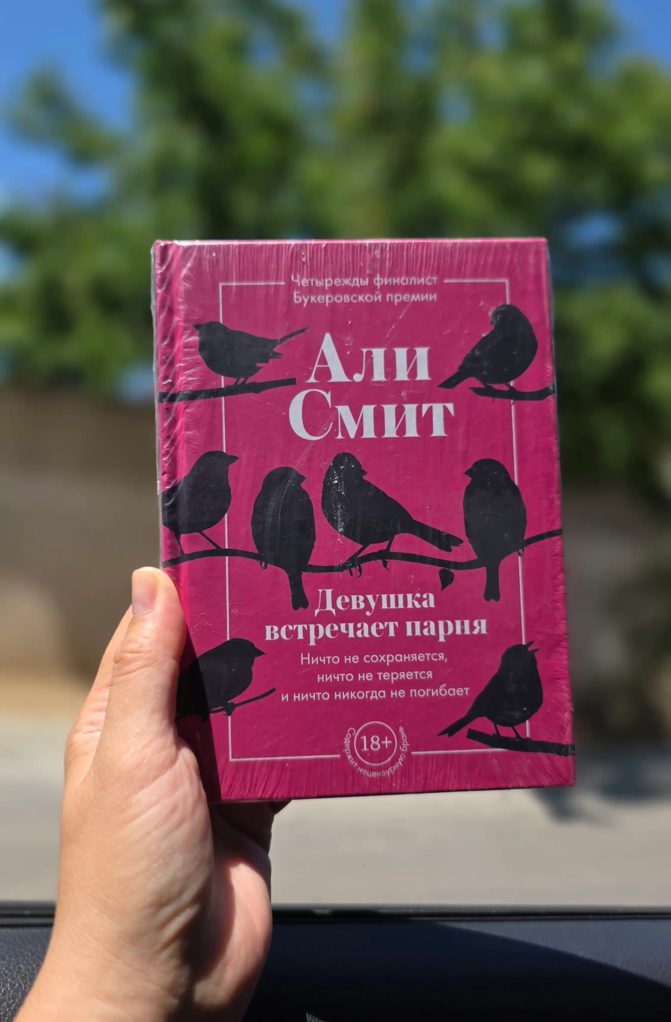 Devushka vstrechayet parnya, Ali Smit