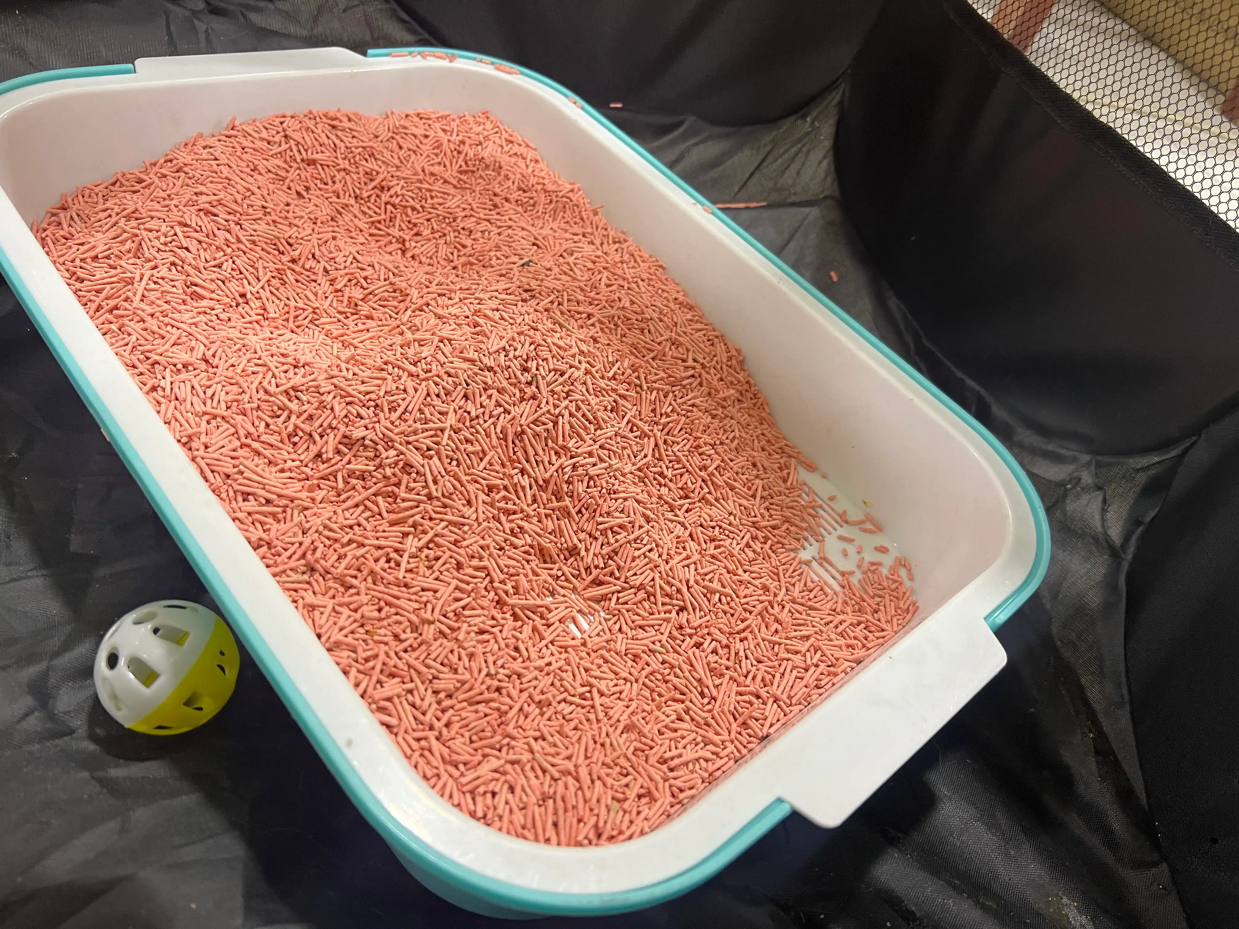 Лоток для кошек с сеткой, прочный пластик, всегда сухие лапки и чистота