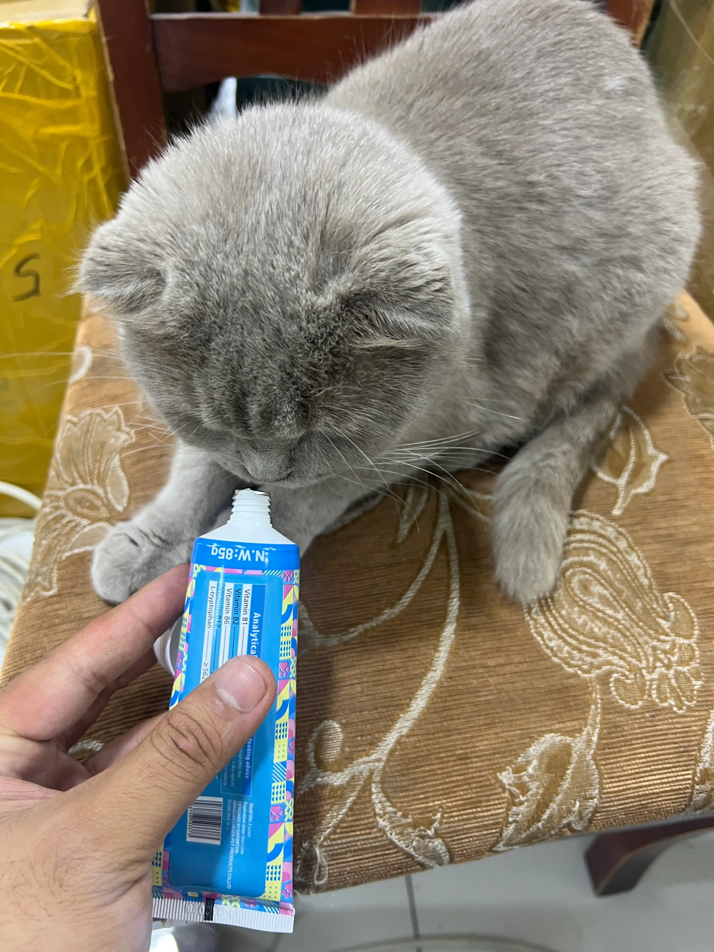 Паста для кошек LINSEN: вывод шерсти (мальт), витамины, кальций, успокаивающая, лакомство